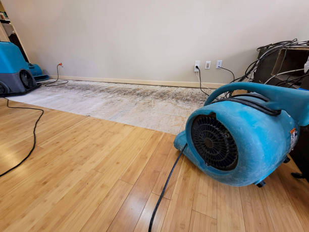Professional Flood Damage Cleanup technician working in Bass Lake, IN